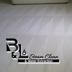 Freshly cleaned carpet with distinct cleaning patterns by B&L Steam Clean & Water Extraction LLC in Columbia, MO