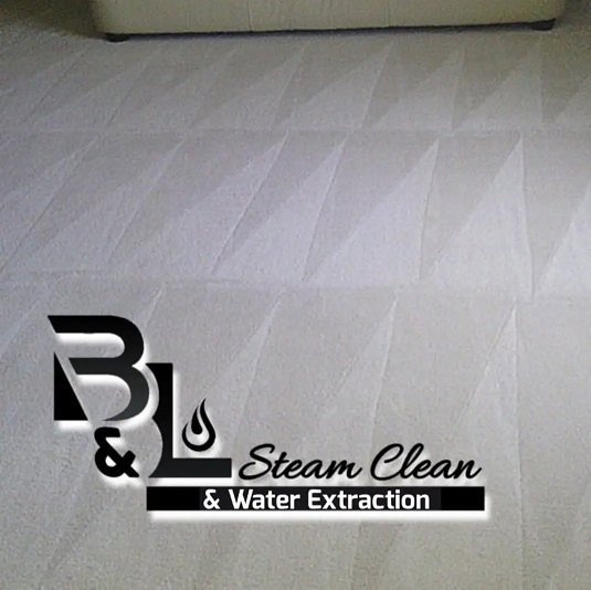 Freshly cleaned carpet with distinct cleaning patterns by B&L Steam Clean & Water Extraction LLC in Columbia, MO