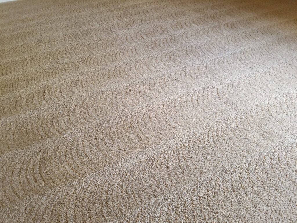A close-up of a freshly cleaned carpet showing distinct patterns left by professional cleaning at Foothills Steam Carpet Cleaners in Fort Collins, CO.