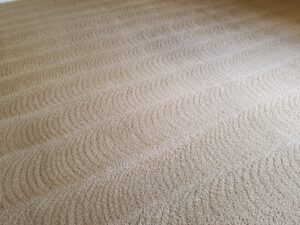 A close-up of a freshly cleaned carpet showing distinct patterns left by professional cleaning at Foothills Steam Carpet Cleaners in Fort Collins, CO.
