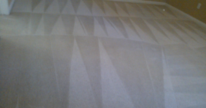 A freshly cleaned carpet showing distinct cleaning patterns by Molina's Carpet Cleaning in Las Vegas, NV.