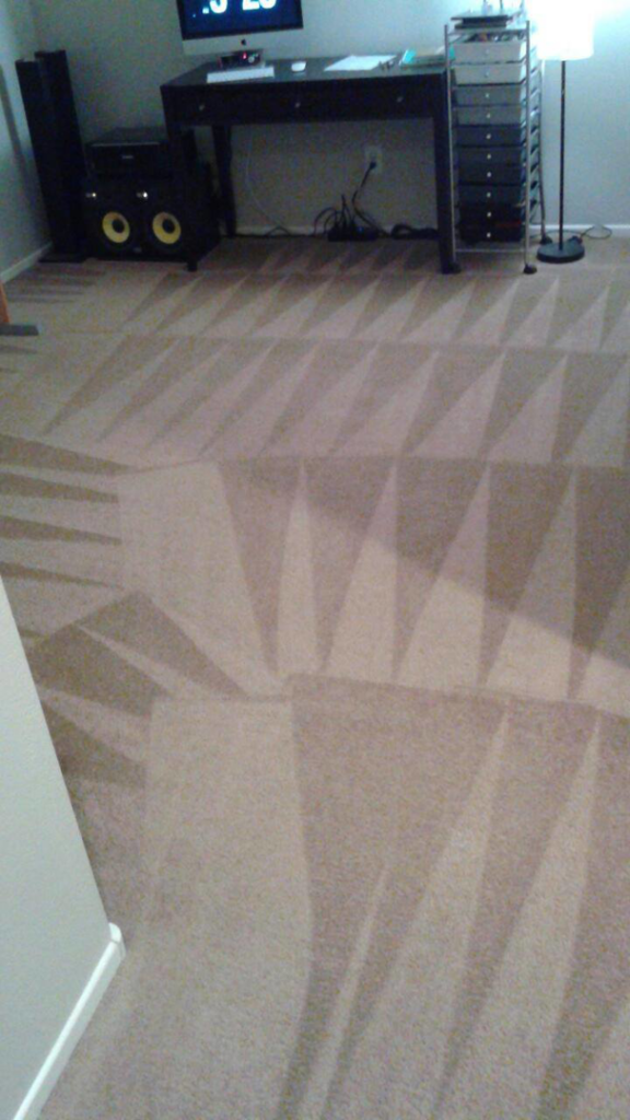 Freshly cleaned carpet showing distinct patterns after a professional cleaning by Scrub Buds Carpet Cleaning in Las Vegas, NV.