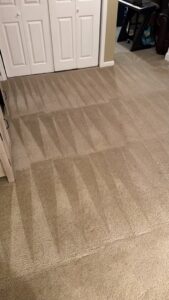 A freshly cleaned carpet showing distinct patterns from professional service by Top Dog Carpet Cleaning in Belton, MO.