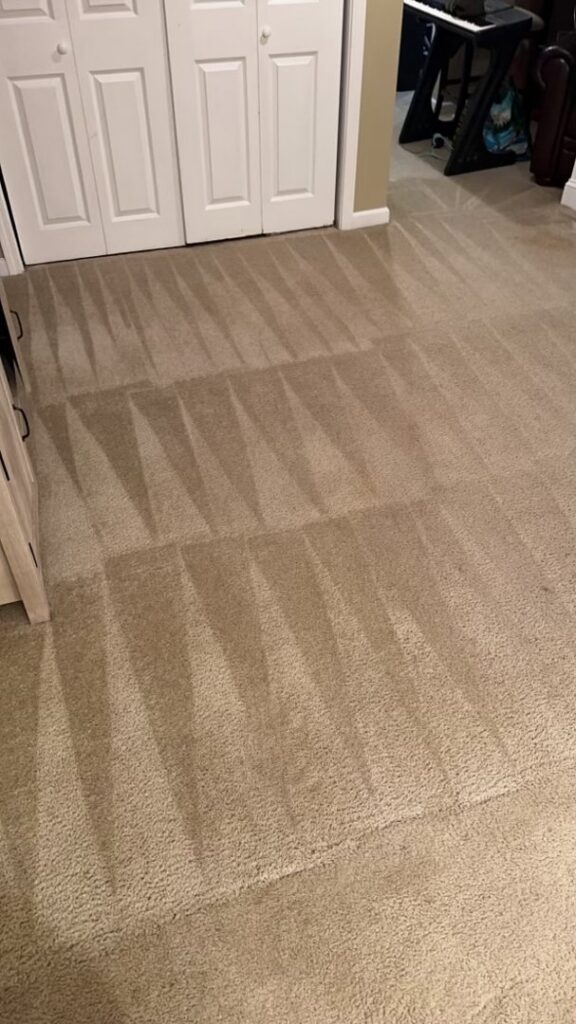 A freshly cleaned carpet showing distinct patterns from professional service by Top Dog Carpet Cleaning in Belton, MO.