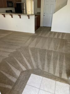 Freshly cleaned carpet showing distinct patterns from the cleaning process by Triple J Carpet Cleaning in North Las Vegas, NV.