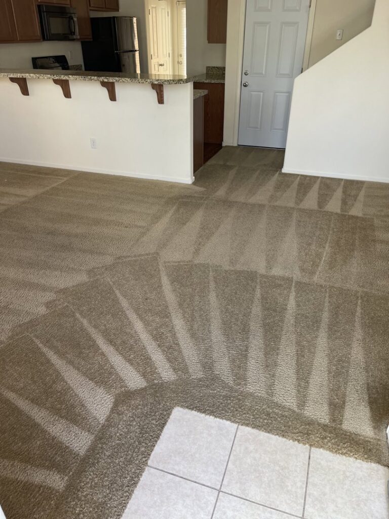 Freshly cleaned carpet showing distinct patterns from the cleaning process by Triple J Carpet Cleaning in North Las Vegas, NV.