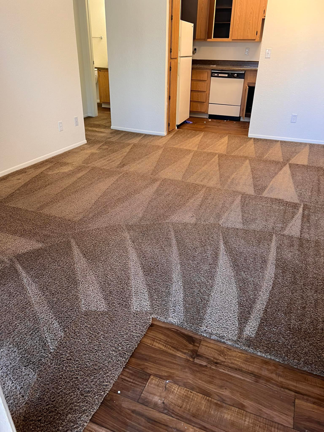 Freshly cleaned brown carpet with distinct cleaning patterns in a room, showcasing work by Wilsons Complete Floor Care in Tucson, AZ