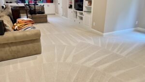 A large room with freshly cleaned carpet showing distinct cleaning lines by Pronto And Carpet LLC in Charlotte, NC.