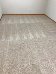 A freshly cleaned carpet with visible cleaning lines, showcasing work by Reliable Carpet Cleaning LLC in Liverpool, NY.