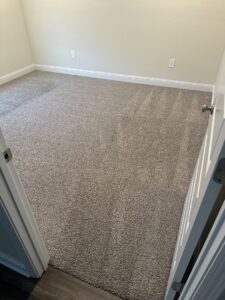 A freshly cleaned residential carpet with visible cleaning lines by Carpet Chemistry in Gulfport, MS.