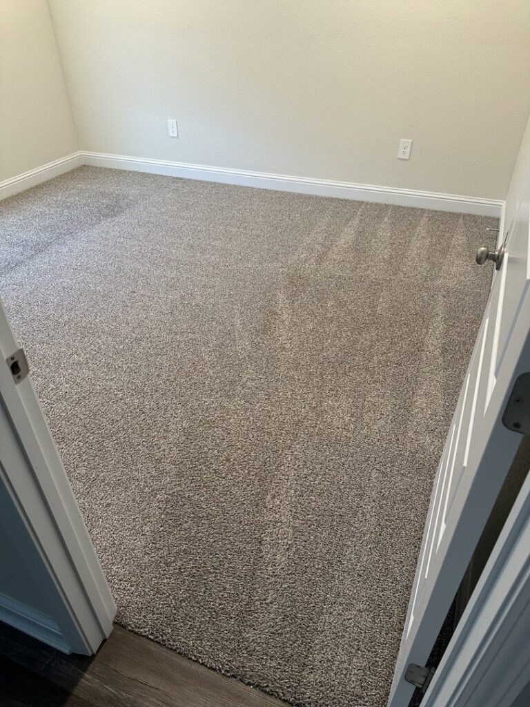 A freshly cleaned residential carpet with visible cleaning lines by Carpet Chemistry in Gulfport, MS.