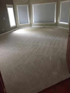 A large residential room with freshly cleaned carpet, showing clear vacuum lines, by Complete Carpet Care in Fort Wayne, IN.