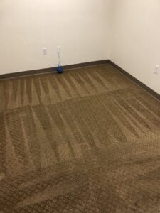 A freshly cleaned carpet showing visible cleaning lines by Max Performance Carpet Cleaning in Spokane, WA.
