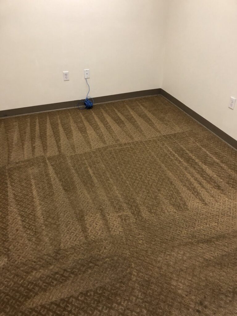 A freshly cleaned carpet showing visible cleaning lines by Max Performance Carpet Cleaning in Spokane, WA.