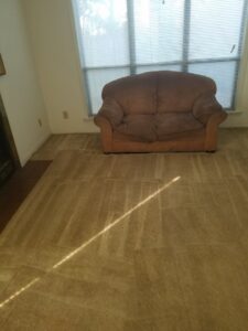 A freshly cleaned carpet in a room showing distinct cleaning patterns by Affordable carpet cleaning CO LLC in Montgomery, AL.