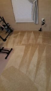 Freshly cleaned carpet with visible cleaning lines in a residential room by ALL Services of NC in Greensboro, NC