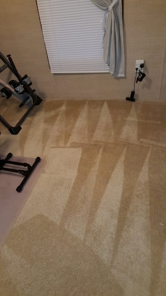Freshly cleaned carpet with visible cleaning lines in a residential room by ALL Services of NC in Greensboro, NC