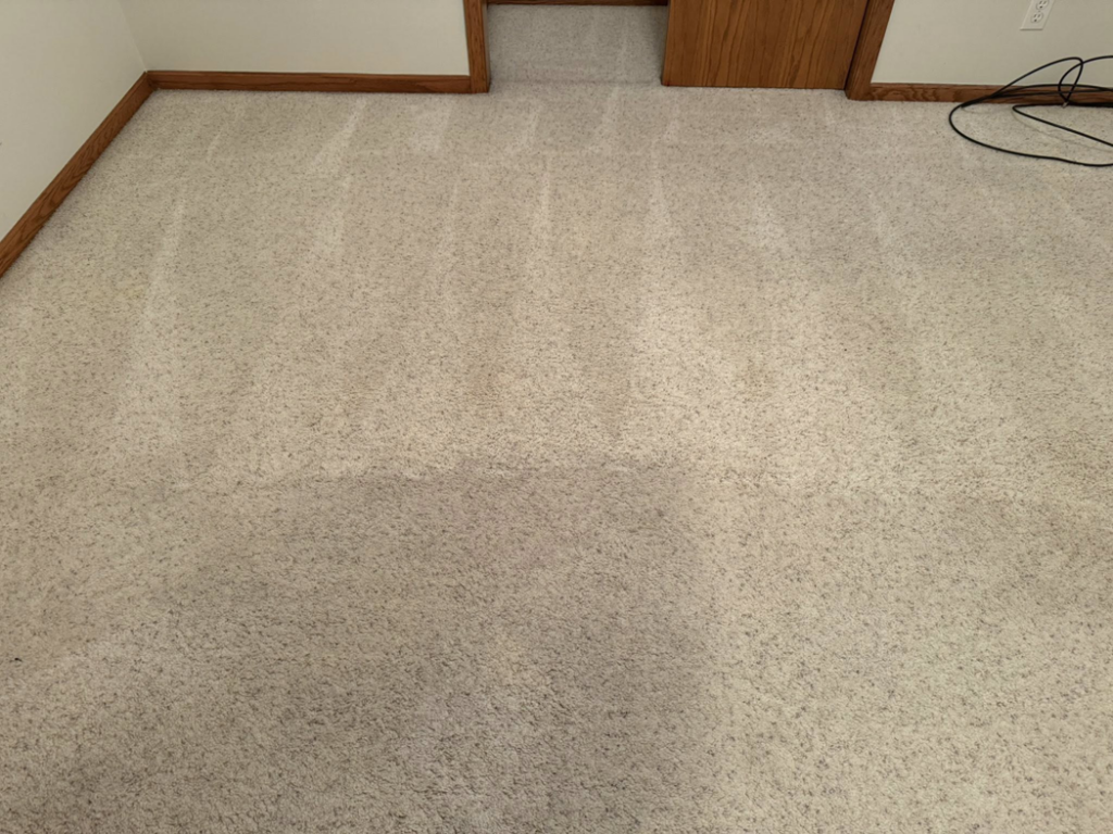 A freshly cleaned carpet in a residential room, showcasing the results of Captain Clean's service in Muncie, IN.