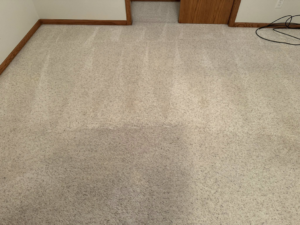 A freshly cleaned carpet in a residential room, showcasing the results of Captain Clean's service in Muncie, IN.