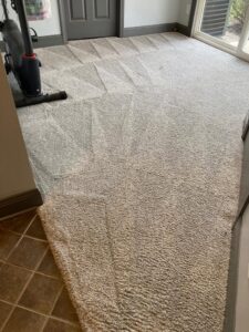 A freshly cleaned light-colored carpet in a room, showing distinct cleaning patterns by Master Green Cleaning in Overland Park, KS.