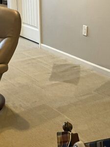 A freshly cleaned carpeted room showing distinct cleaning lines after a professional service by Steam Giant in Raleigh, NC.