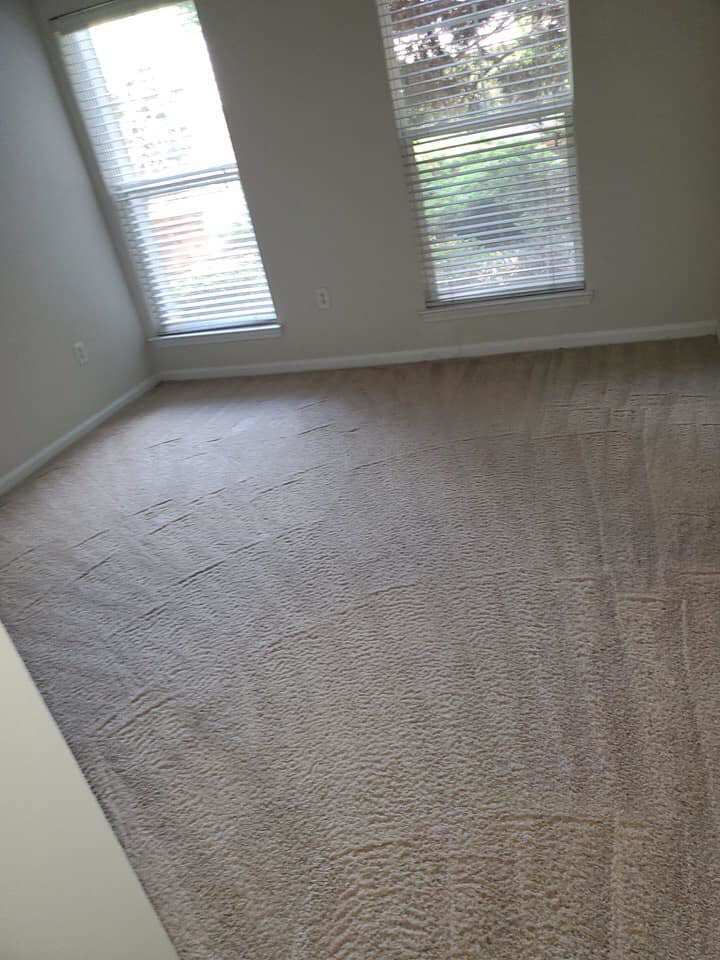 A freshly cleaned carpeted room with visible cleaning lines by T&P Carpet Care in Charlotte, NC.
