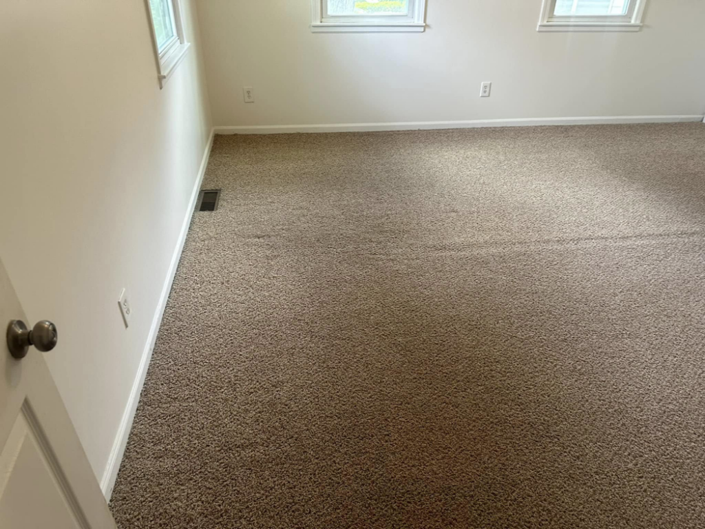 Freshly cleaned carpet in a room with multiple windows and a door, completed by The Gold Standard Carpet Cleaning in Kansas City, MO.