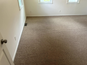 Freshly cleaned carpet in a room with multiple windows and a door, completed by The Gold Standard Carpet Cleaning in Kansas City, MO.