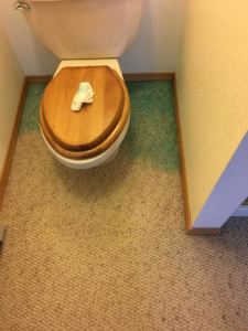 A freshly cleaned section of light-colored carpet around a toilet, showcasing results by Sam's Carpet Care in Wasilla, AK.