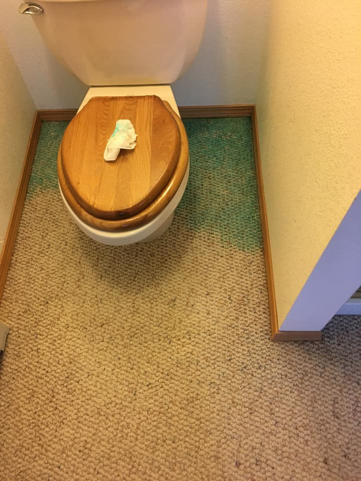 A freshly cleaned section of light-colored carpet around a toilet, showcasing results by Sam's Carpet Care in Wasilla, AK.