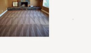 A freshly cleaned carpet with distinct lines in a living room by Servicemaxx in Indianapolis, IN.
