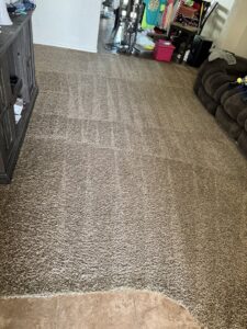 A freshly cleaned carpet with visible cleaning lines by Steamway Carpet Cleaning in El Paso, TX