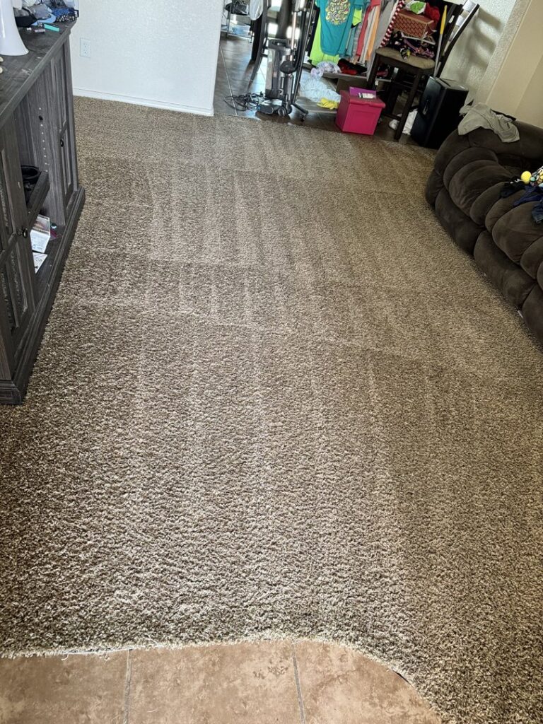 A freshly cleaned carpet with visible cleaning lines by Steamway Carpet Cleaning in El Paso, TX