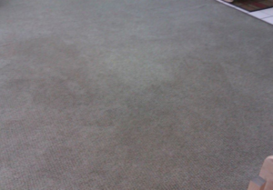 A freshly cleaned light-colored carpet by Sterling SYLVA Sisters Cleaning Services in Kapolei, HI.
