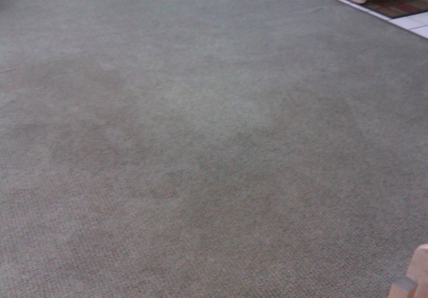 A freshly cleaned light-colored carpet by Sterling SYLVA Sisters Cleaning Services in Kapolei, HI.