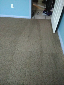 Freshly cleaned carpet with visible cleaning streaks by Residential Carpet Cleaning in Bakersfield, CA.