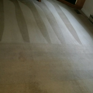 Freshly cleaned carpet showing distinct stripes after a professional cleaning by Chichi Carpet Cleaning in High Point, NC