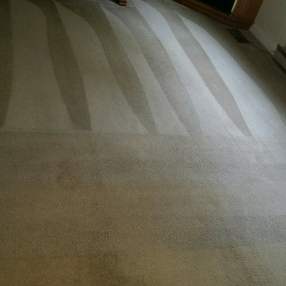 Freshly cleaned carpet showing distinct stripes after a professional cleaning by Chichi Carpet Cleaning in High Point, NC