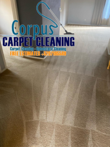 Freshly cleaned carpet showing distinct cleaning stripes by Corpus Carpet Cleaning LLC in Tucson, AZ