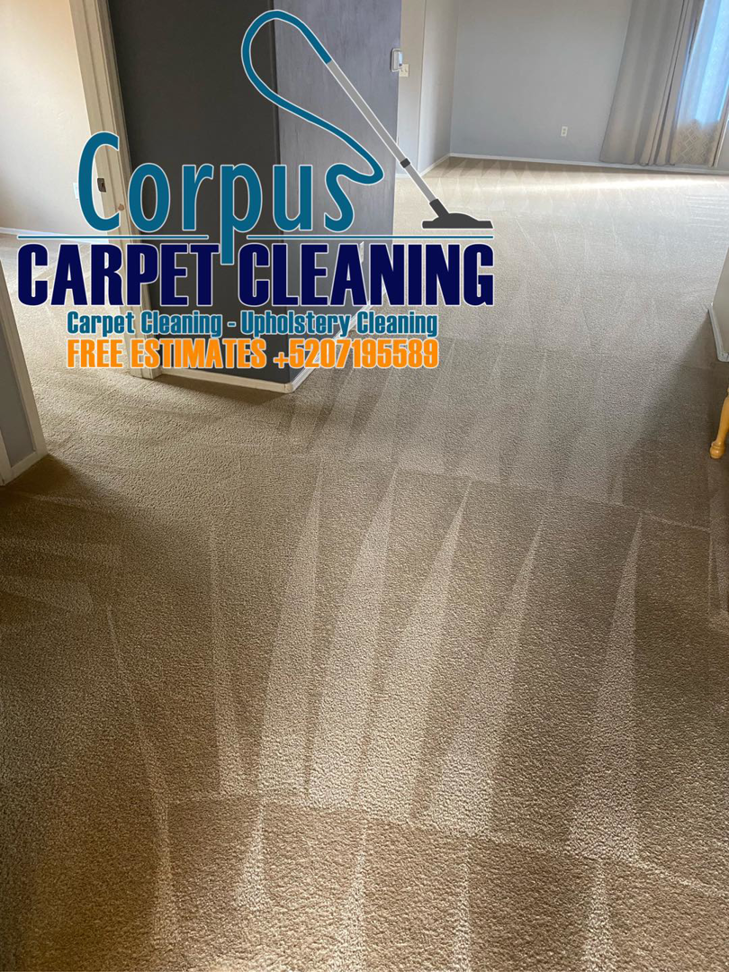 Freshly cleaned carpet showing distinct cleaning stripes by Corpus Carpet Cleaning LLC in Tucson, AZ