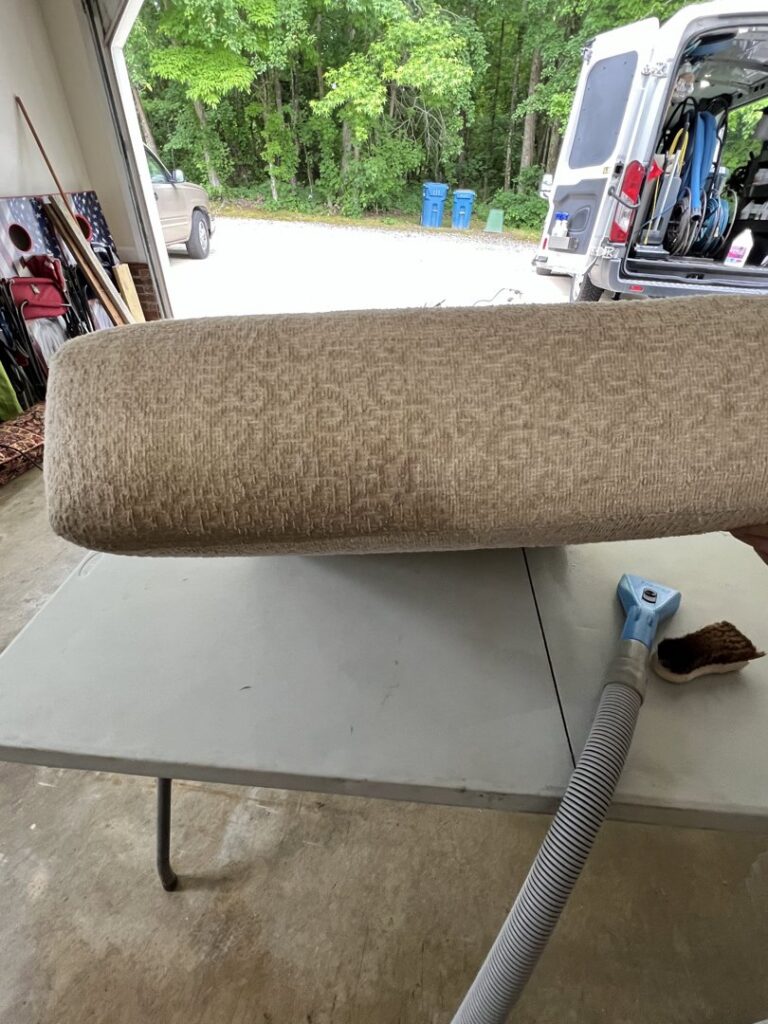 Freshly cleaned carpet with visible cleaning stripes by ProTech Carpet Care in Greensboro, NC.