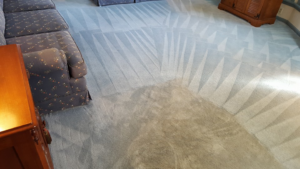 A freshly cleaned carpet and upholstery showing distinct cleaning patterns by Ultra Kleen Carpet & Upholstery Cleaning in Spencerport, NY.