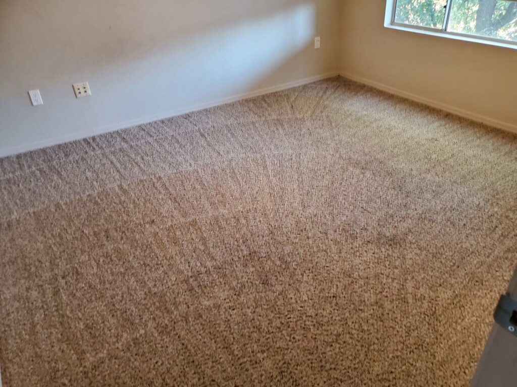 A freshly cleaned carpet with distinct vacuum lines, showcasing work by Aaron's Carpet Care LLC in Peoria, AZ.