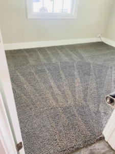 A freshly cleaned carpet with distinct vacuum lines in a room by Furns Total Carpet Care in Murfreesboro, TN.