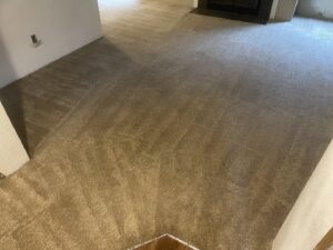 A freshly cleaned light brown carpet with clear vacuum lines, indicating professional service by Mace Carpet Services in Tacoma, WA