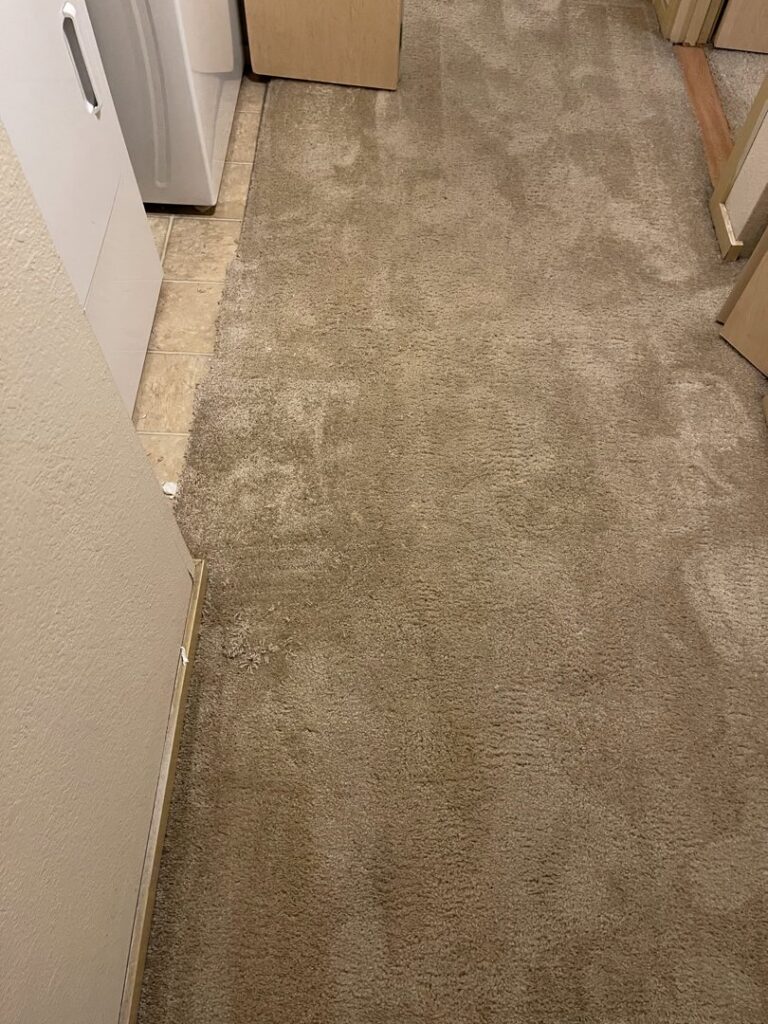 A freshly cleaned light-colored carpet with clear vacuum lines, showcasing professional results from Mace Carpet Services in Tacoma, WA