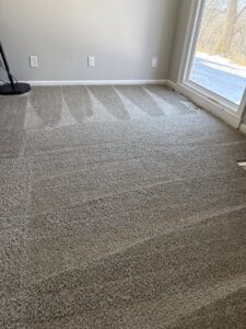 A freshly cleaned carpet with cleaning lines in a room with a large window, completed by Reliable Carpet Cleaning LLC in Liverpool, NY.