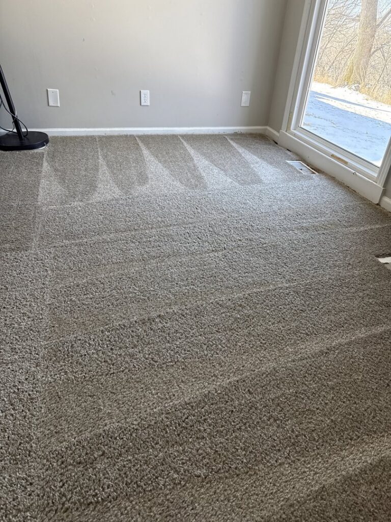 A freshly cleaned carpet with cleaning lines in a room with a large window, completed by Reliable Carpet Cleaning LLC in Liverpool, NY.