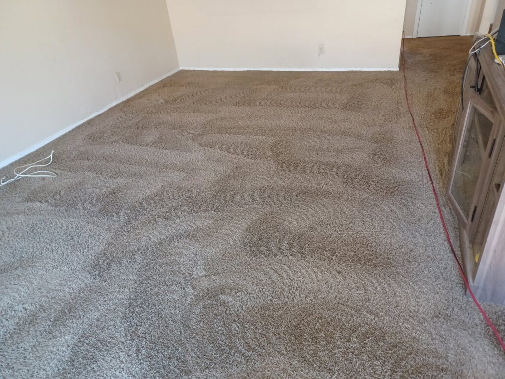 A freshly cleaned carpet showing distinct cleaning lines, indicating professional service by El Paso Carpet Care in El Paso, TX.