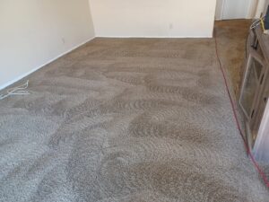A freshly cleaned carpet showing distinct cleaning lines, indicating professional service by El Paso Carpet Care in El Paso, TX.